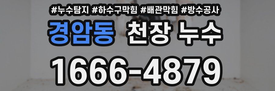 경암동 천장 누수