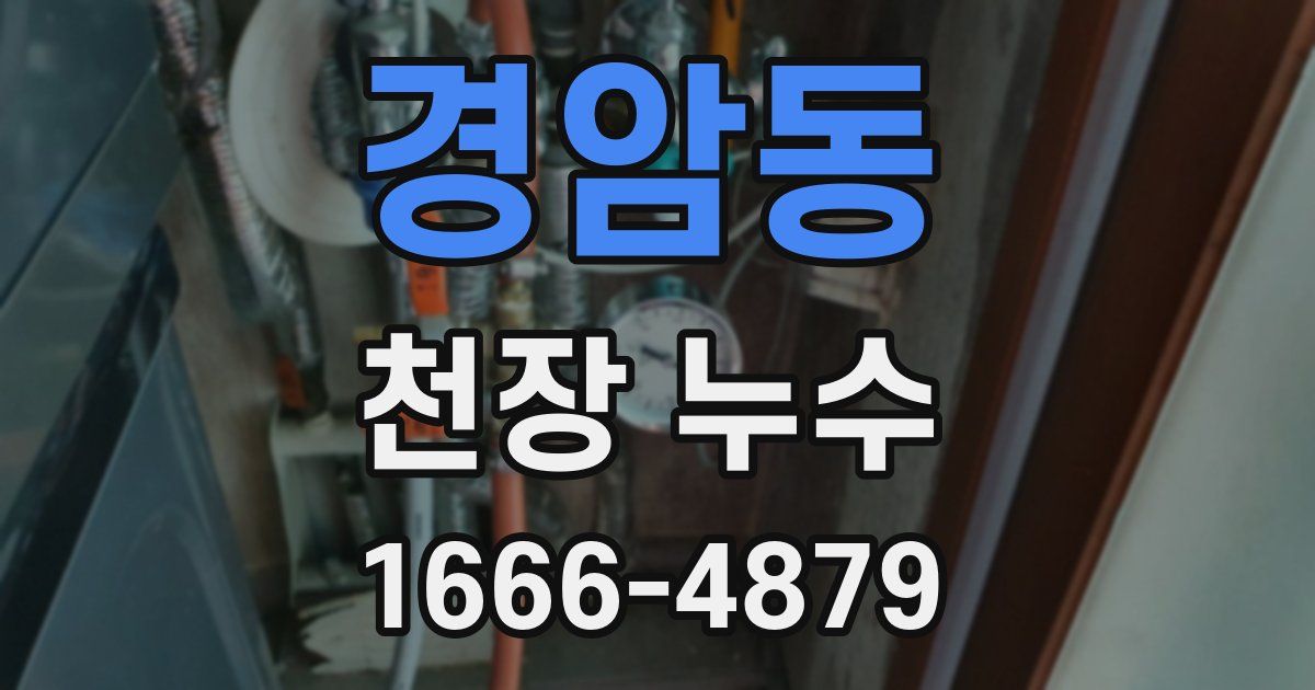 경암동 천장 누수