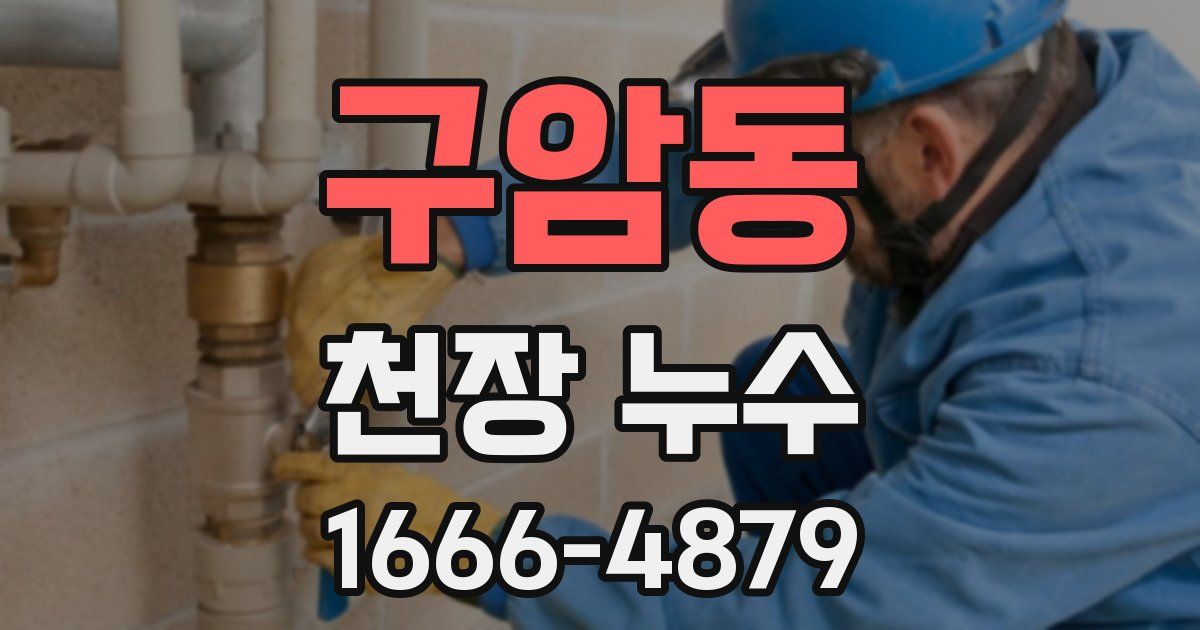 구암동 천장 누수