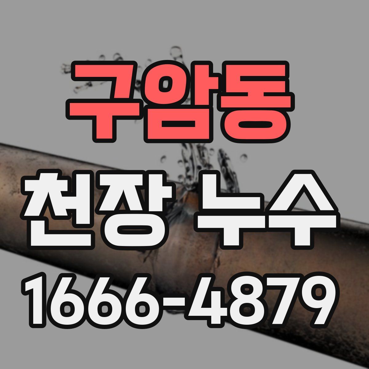 구암동 천장 누수
