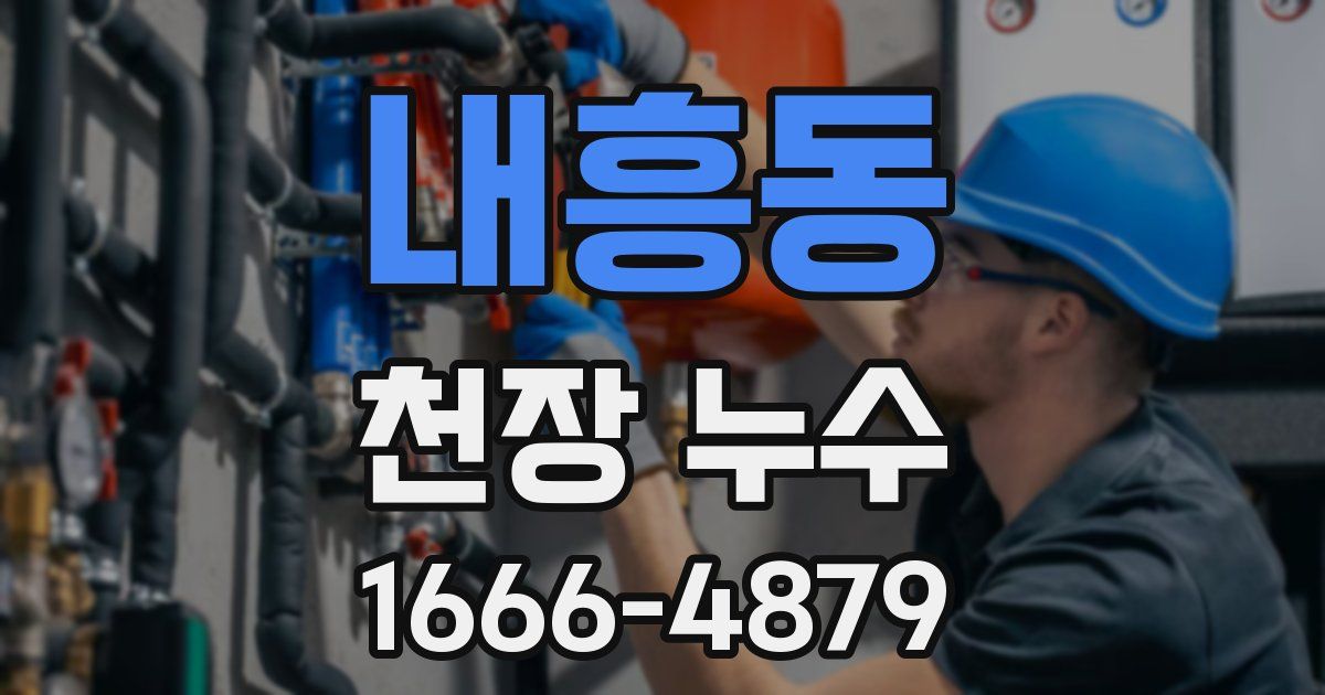 내흥동 천장 누수