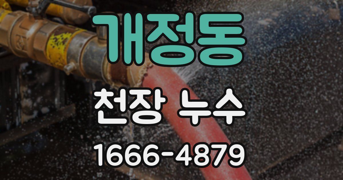 개정동 천장 누수