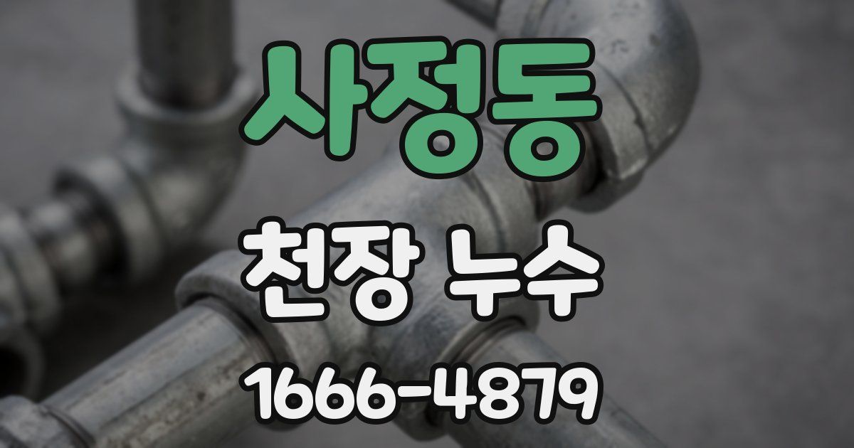 사정동 천장 누수