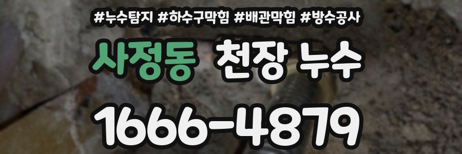 사정동 천장 누수