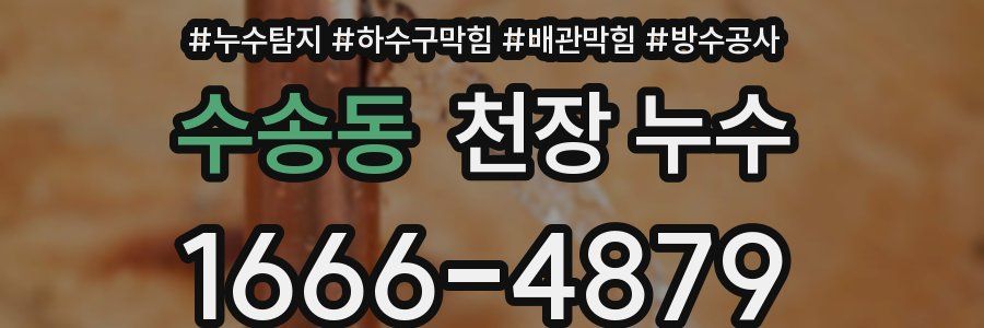 수송동 천장 누수