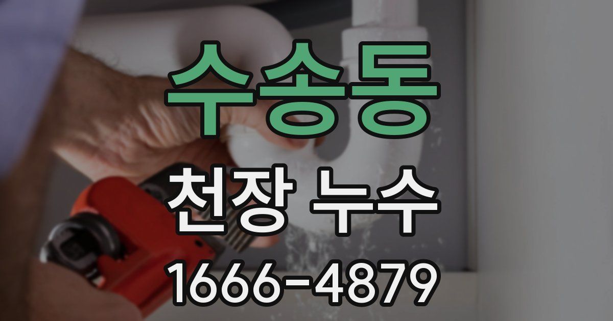수송동 천장 누수