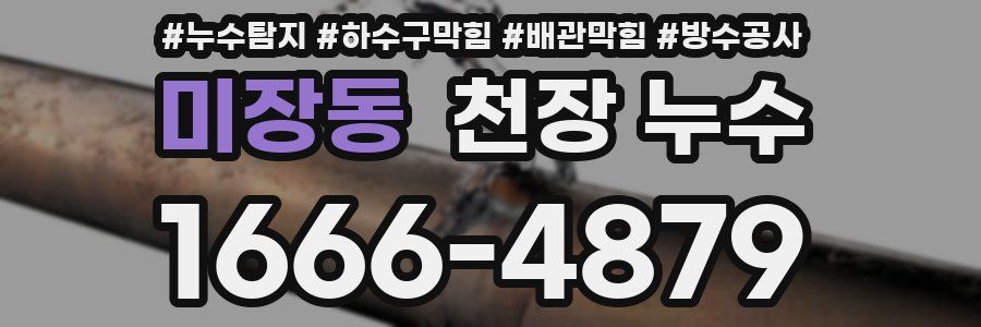 미장동 천장 누수