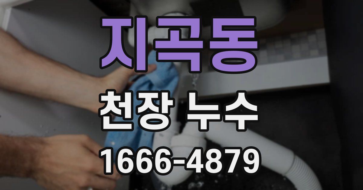 지곡동 천장 누수