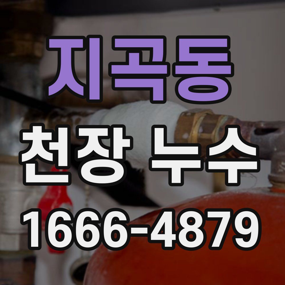 지곡동 천장 누수