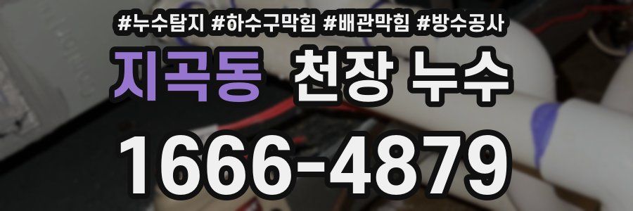 지곡동 천장 누수