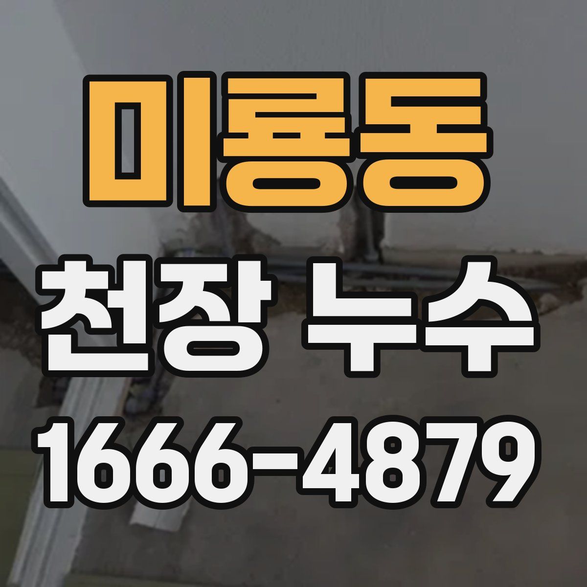 미룡동 천장 누수