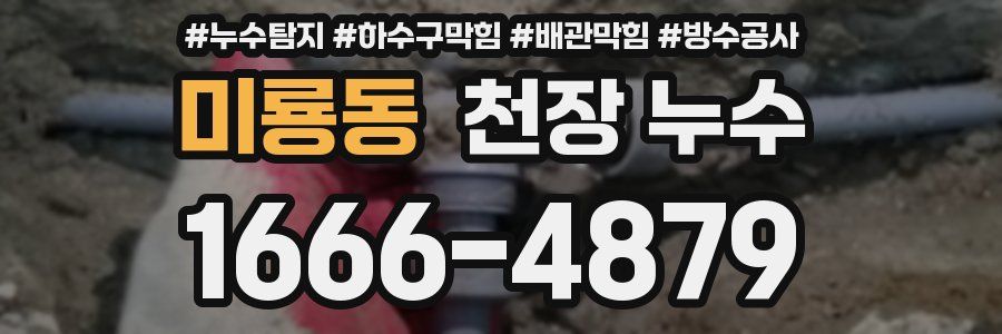 미룡동 천장 누수