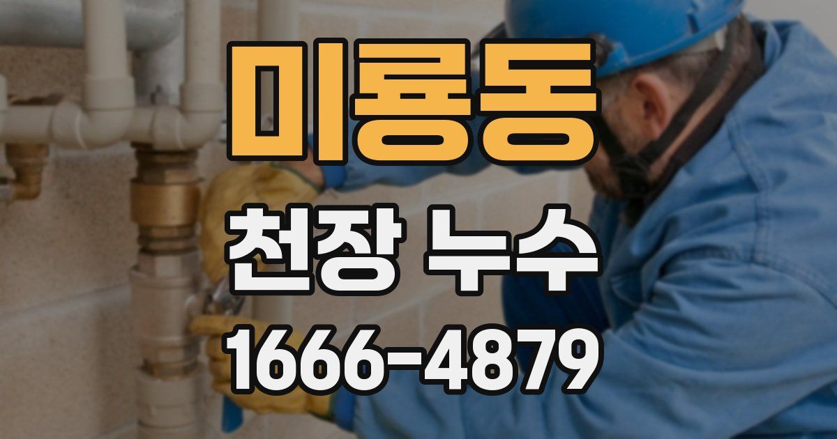 미룡동 천장 누수