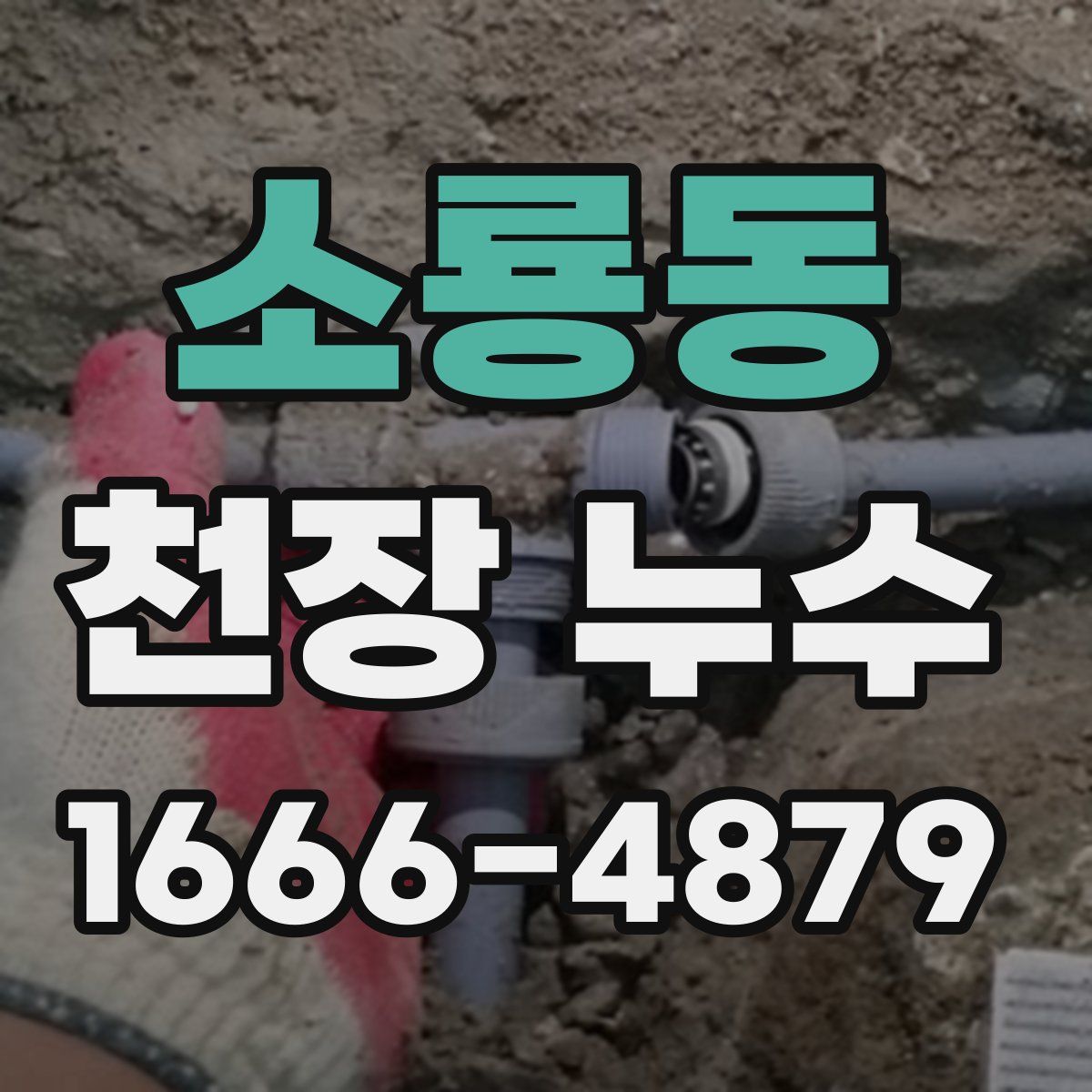 소룡동 천장 누수