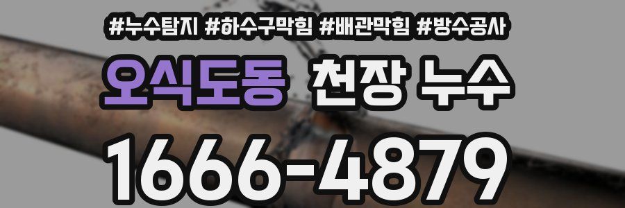 오식도동 천장 누수