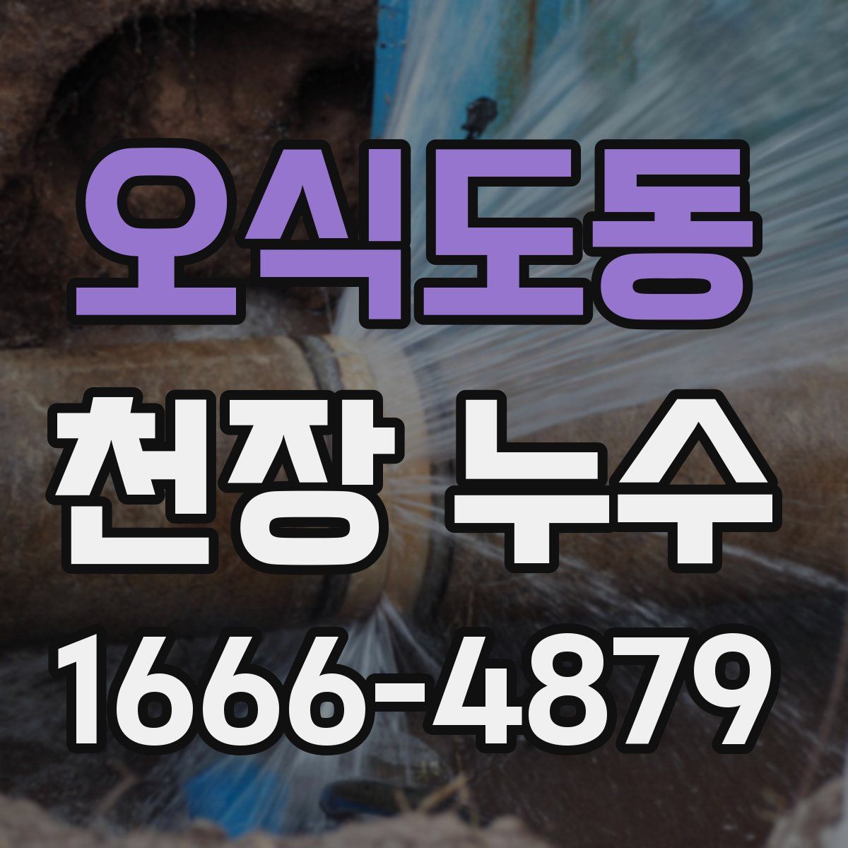 오식도동 천장 누수
