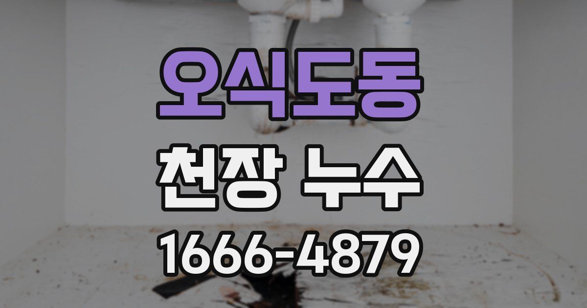 오식도동 천장 누수