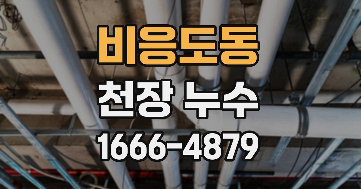 비응도동 천장 누수