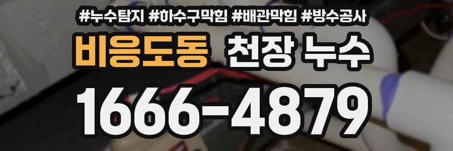 비응도동 천장 누수