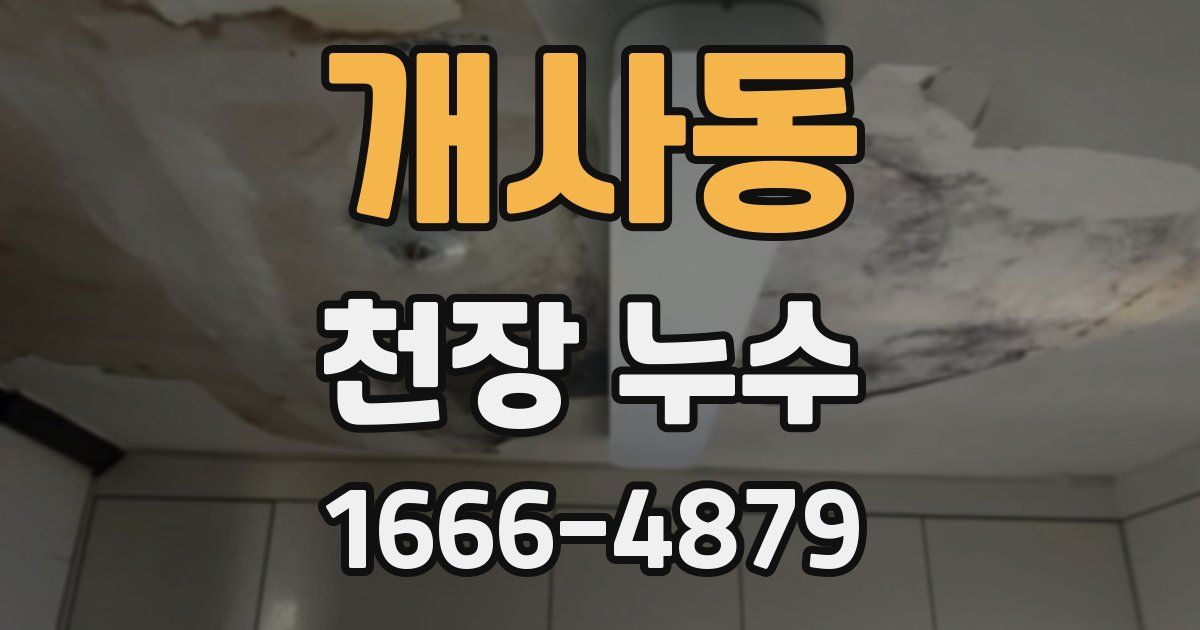 개사동 천장 누수