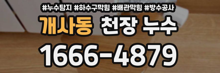개사동 천장 누수