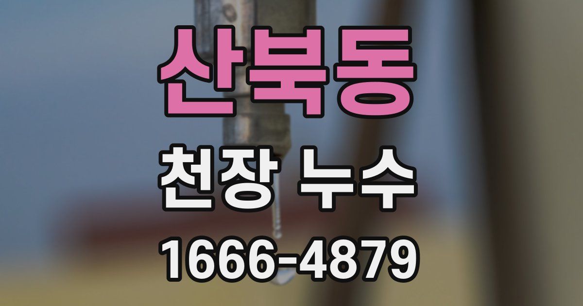 산북동 천장 누수