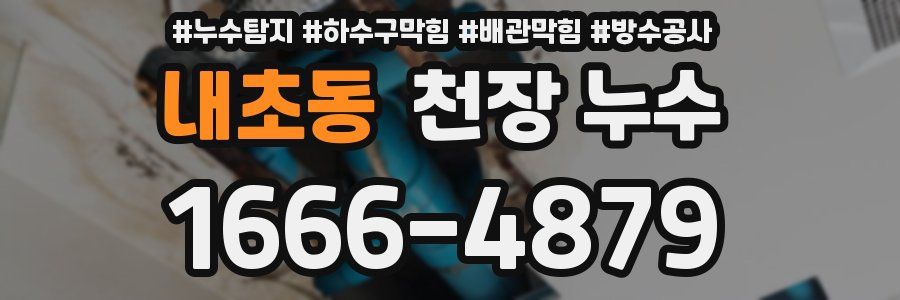 내초동 천장 누수