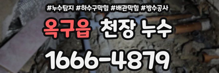옥구읍 천장 누수