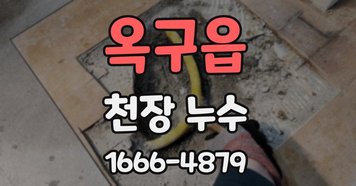 옥구읍 천장 누수