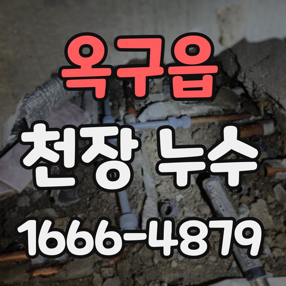 옥구읍 천장 누수