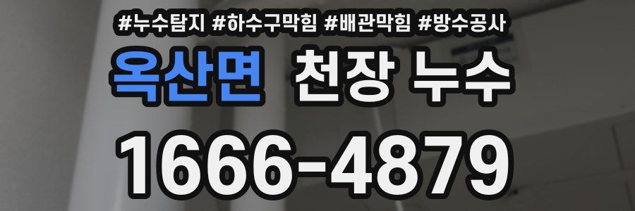옥산면 천장 누수