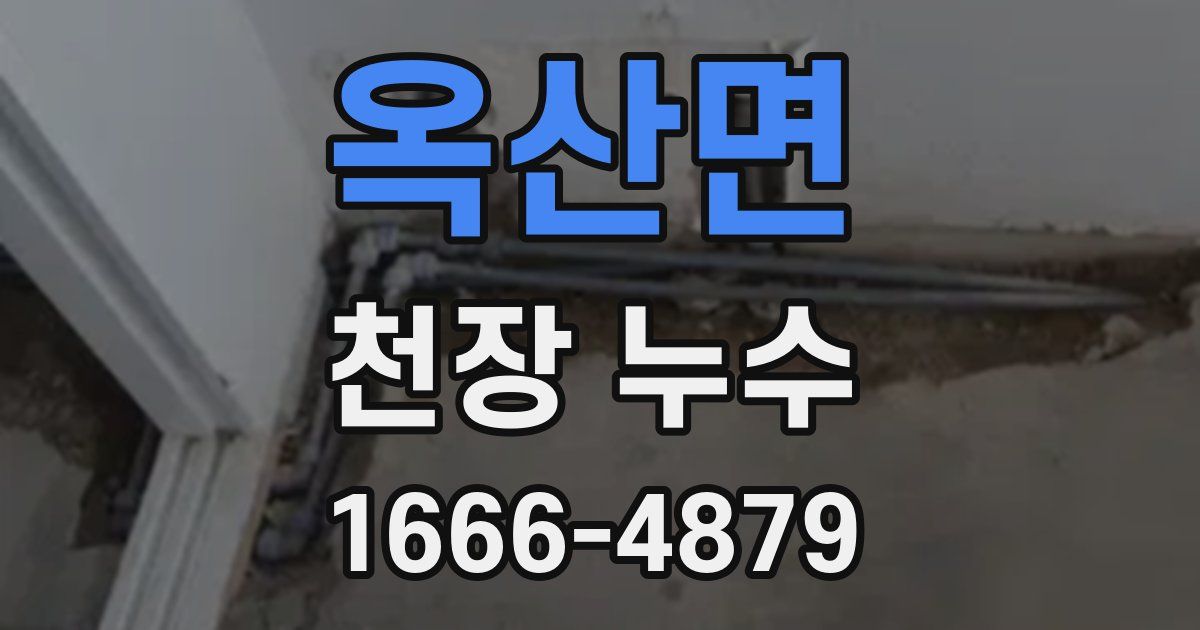 옥산면 천장 누수