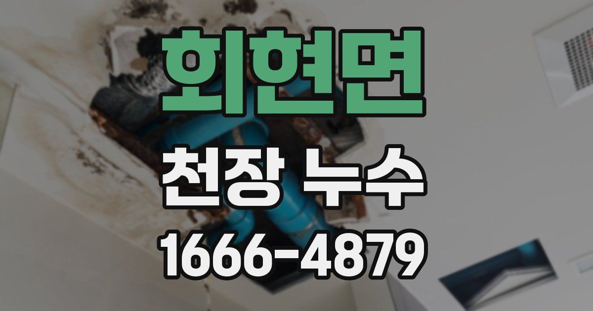 회현면 천장 누수
