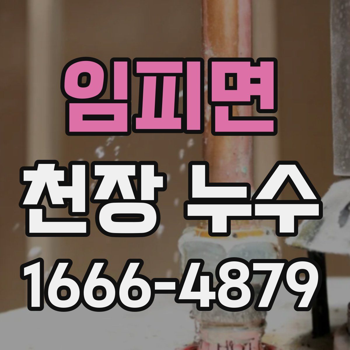 임피면 천장 누수