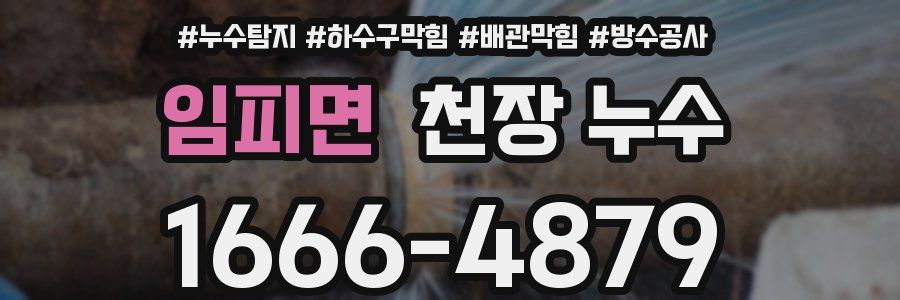 임피면 천장 누수