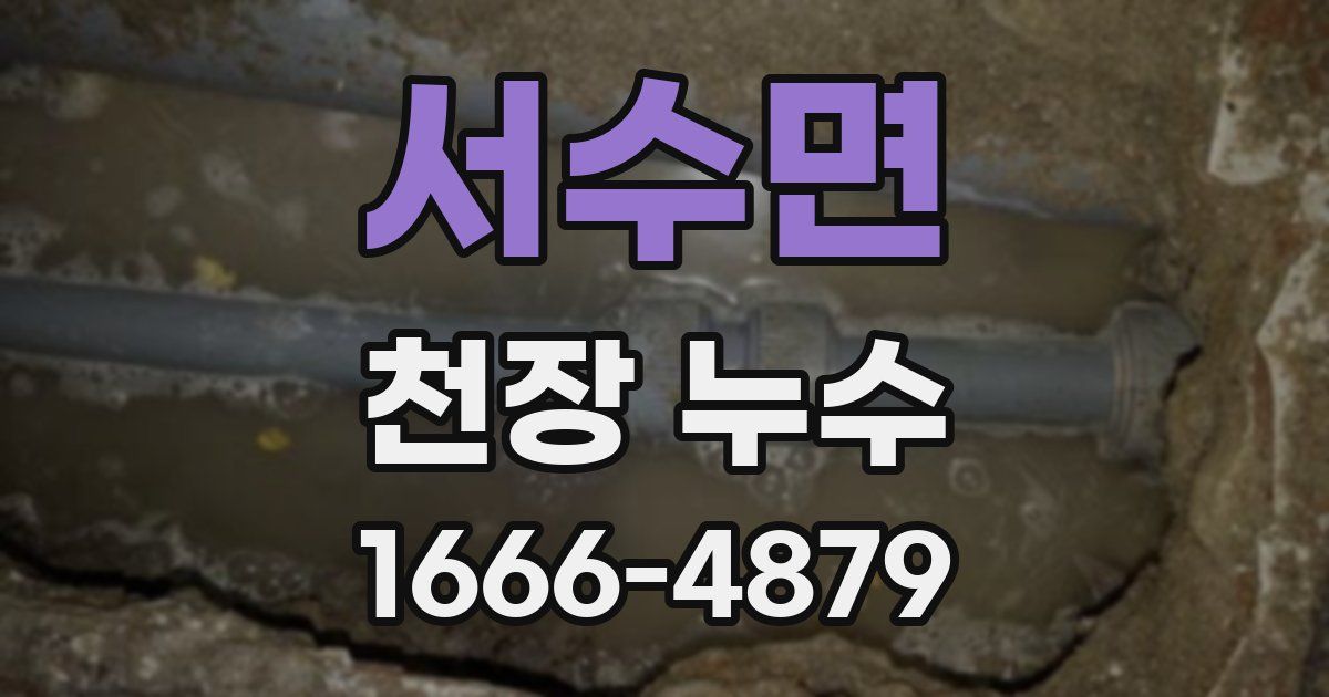 서수면 천장 누수