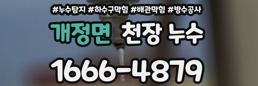 개정면 천장 누수