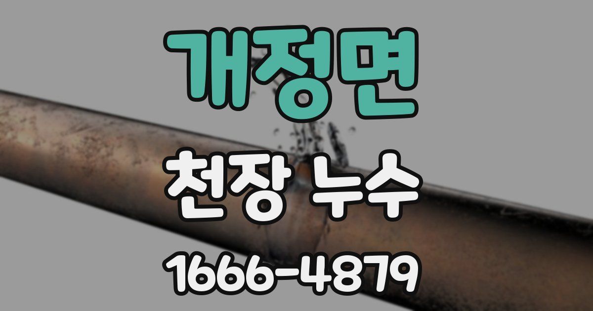 개정면 천장 누수
