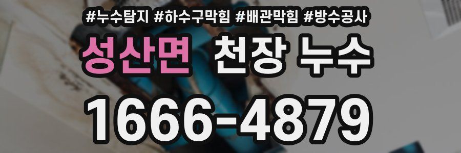 성산면 천장 누수