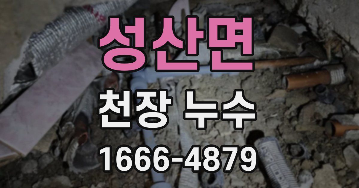 성산면 천장 누수