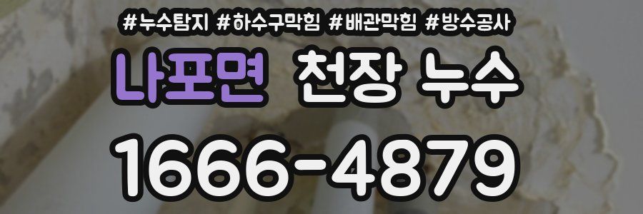 나포면 천장 누수
