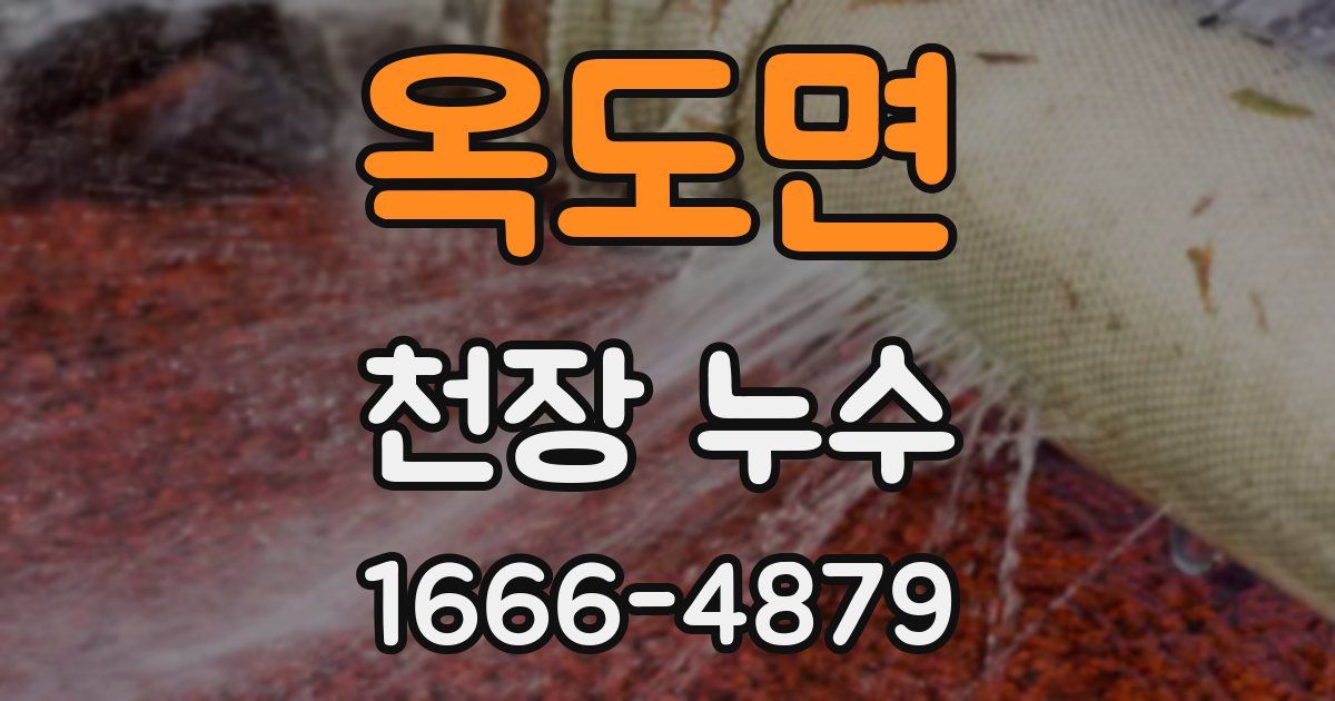 옥도면 천장 누수