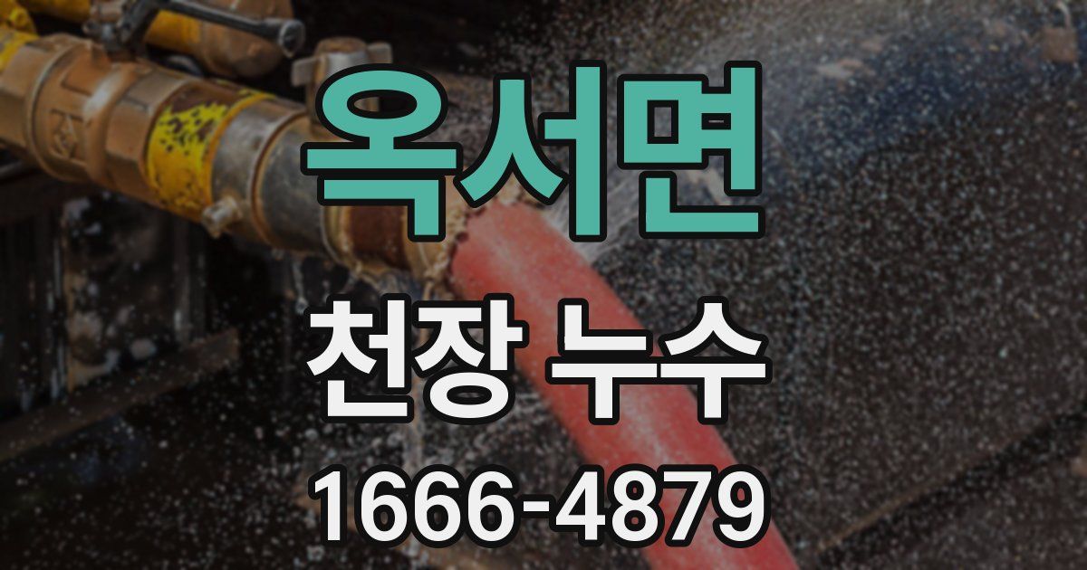 옥서면 천장 누수