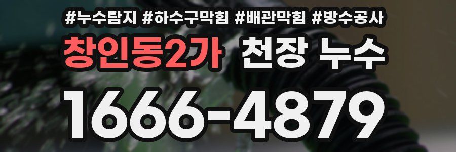 창인동2가 천장 누수