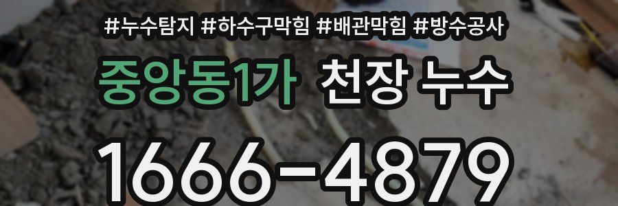 중앙동1가 천장 누수