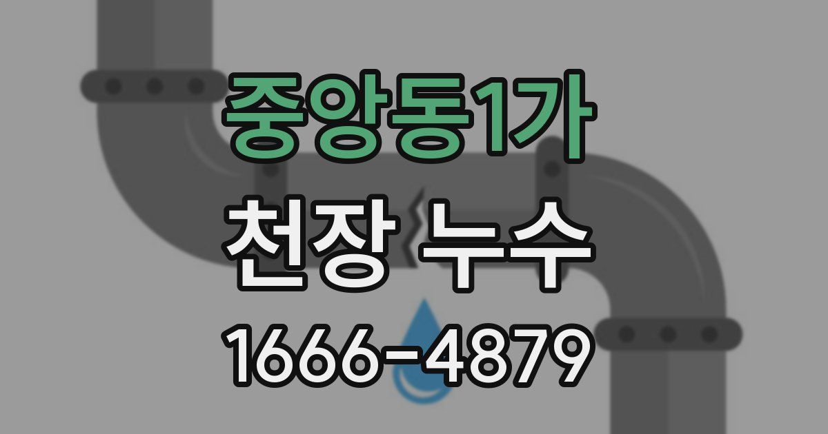 중앙동1가 천장 누수