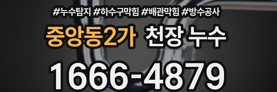 중앙동2가 천장 누수