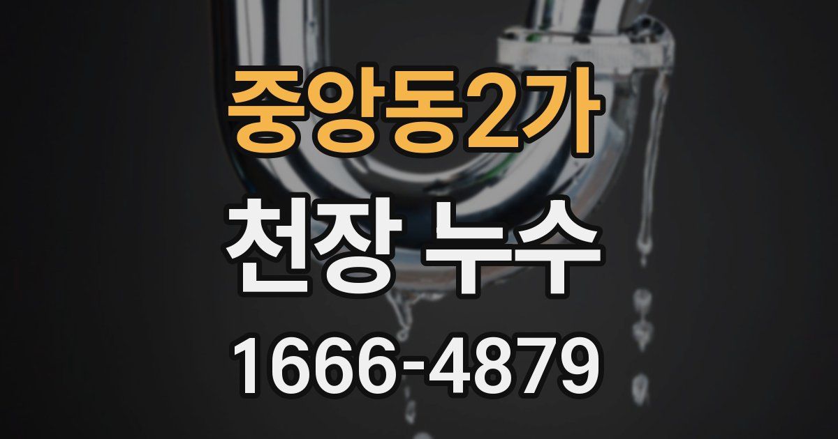 중앙동2가 천장 누수