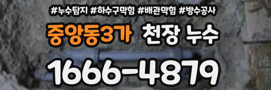 중앙동3가 천장 누수