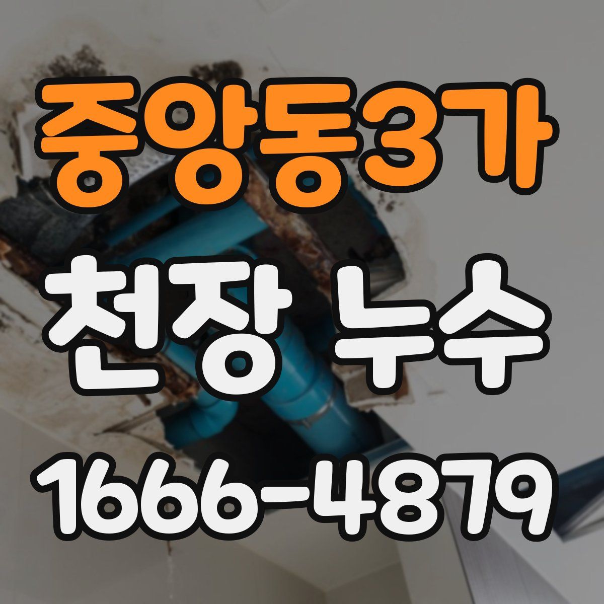 중앙동3가 천장 누수